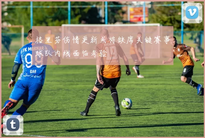 格里芬伤情更新或将缺席关键赛事球队内线面临考验