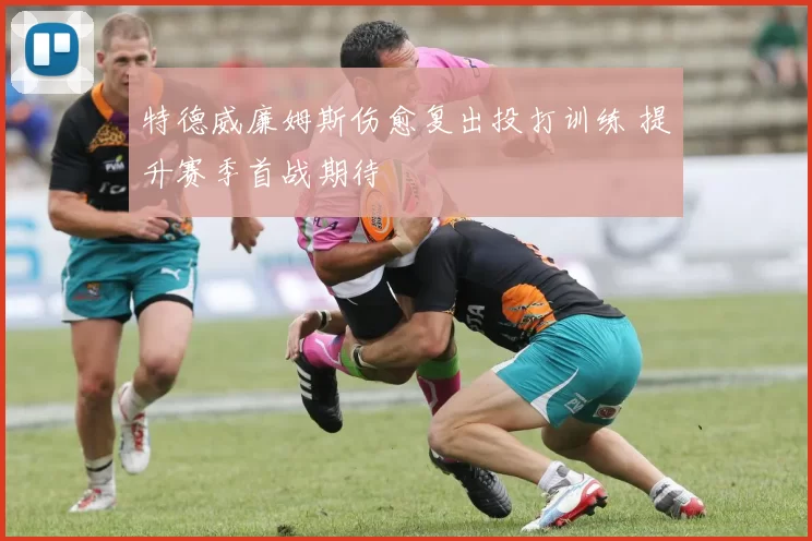 特德威廉姆斯伤愈复出投打训练 提升赛季首战期待