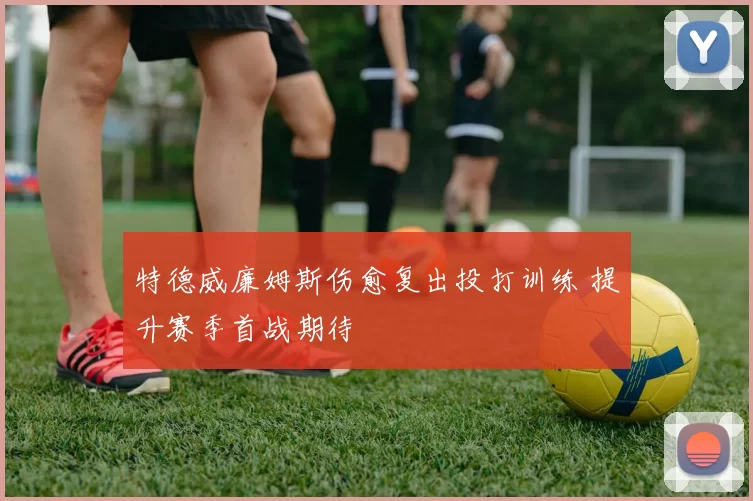 特德威廉姆斯伤愈复出投打训练 提升赛季首战期待