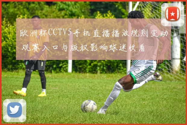 欧洲杯CCTV5手机直播播放规则变动 观赛入口与版权影响球迷收看