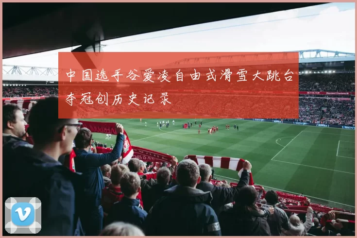 中国选手谷爱凌自由式滑雪大跳台夺冠创历史记录